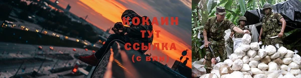 амф Алзамай